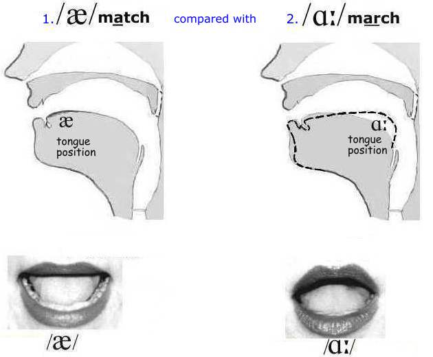 Pronounce English vowels the 'a' vowel