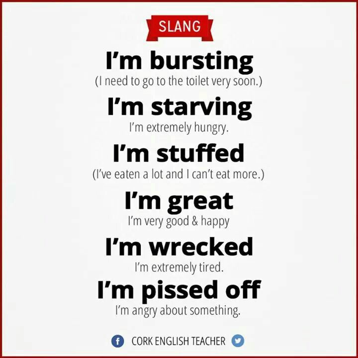 Australian Slang Dictionary Koala Net | Lobster House