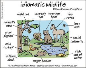 Accent reduction practise - English Pronunciation idioms