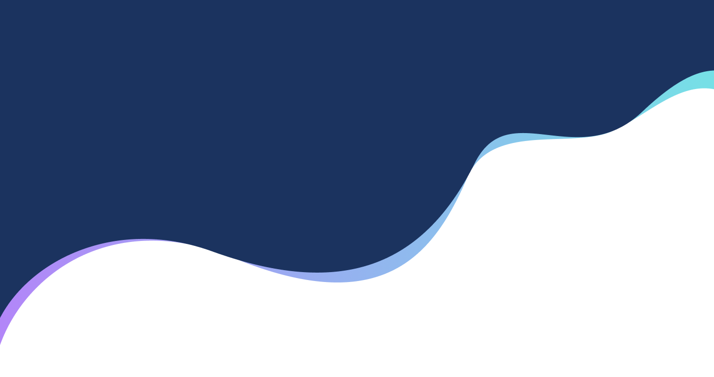 meaning of speech flow